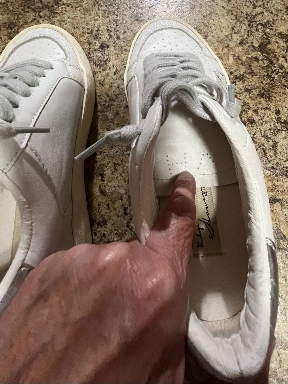Vintage Havana Lace-Up Sneakers in Light Gray and White